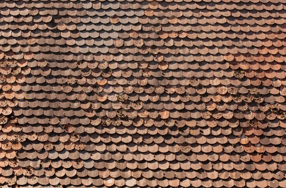 renovation-toiture-avant